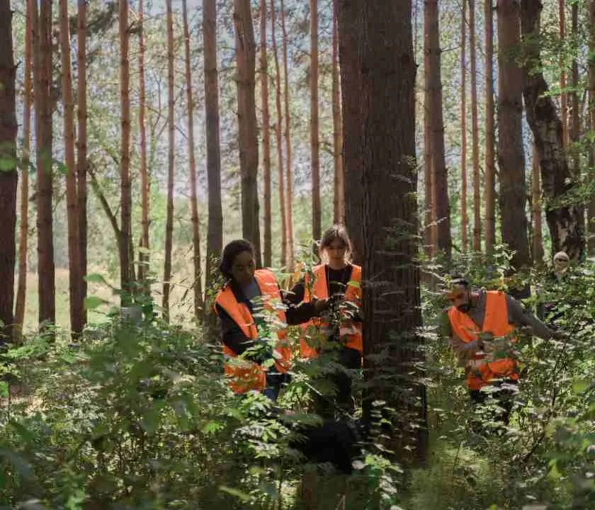 Three volunteers picking up litter in a wood